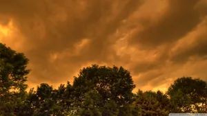 黃昏時樹梢上方有暗雲的橙色天空