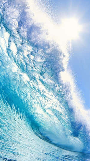 陽光穿過高聳的海浪，浪花破碎成白色泡沫。