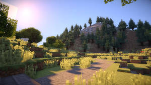 Minecraft方塊景觀，有草地、樹木和石徑，在明亮的陽光下。 — 我的世界 壁紙