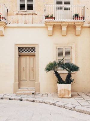 米色建築物，有木門和人行道上盆栽棕櫚樹 — 金色美學 GIF 壁紙