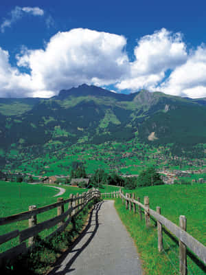 碎石路與木柵欄穿過綠色草地，通往藍天下的山村。