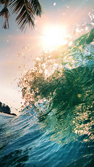 陽光在破碎的海浪上閃爍，前景有棕櫚葉。 — 海浪 壁紙