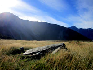 一塊巨大的平坦岩石，躺在高高的草地上，背景是山脈，在強烈的陽光下。 — 紅色山脈 壁紙
