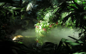 熱帶叢林場景，霧氣瀰漫的水面，陽光穿過茂密的綠葉和紅花。 — 綠色美學 壁紙