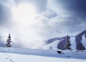 白雪覆蓋的山，常青樹，陽光穿透雲層。