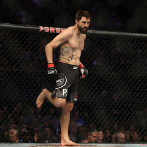 比賽後在UFC八角籠內的男性MMA格鬥家。
