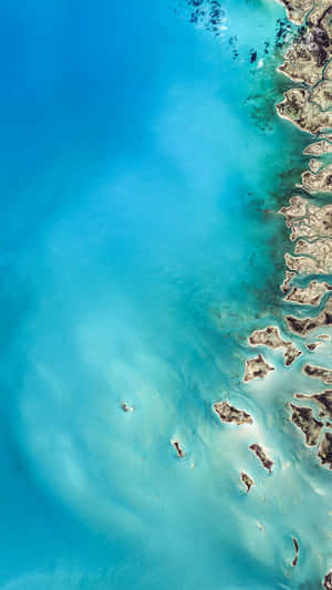 從空中俯瞰，碧綠的海洋與崎嶇的海岸線交匯，散落著小島。