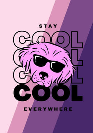 粉紅色狗戴太陽眼鏡，漸變背景上有「stay cool everywhere」文字