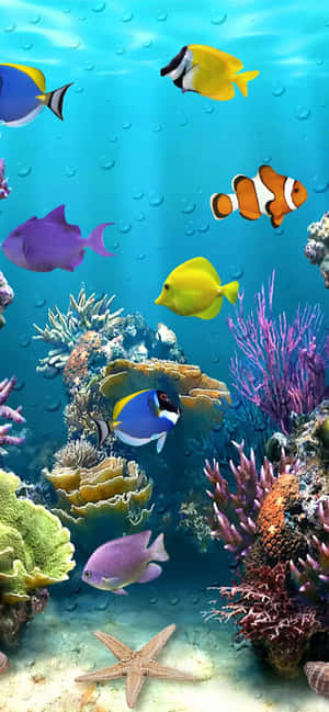 色彩繽紛的熱帶魚和珊瑚礁水下場景，帶有上升的氣泡