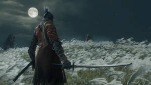 武士戰士持劍在月光草野中面對敵人。
