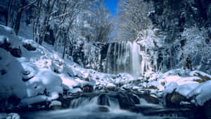 冰凍的瀑布流過白雪覆蓋的森林，有冰樹和藍天。