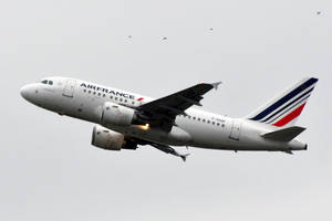 法國航空客機在陰天飛行，背景有鳥兒。 — 飛機 壁紙