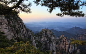 松枝框住嘅山頂黎明，下方係迷霧山谷。