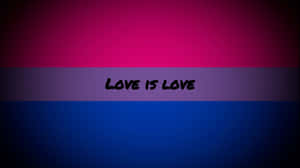 帶有 love is love 文字的雙性戀驕傲旗幟