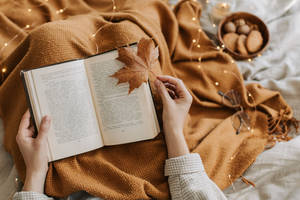 舒適的秋日閱讀場景，雙手捧書、楓葉、毛毯和仙女燈。 — 秋天 壁紙