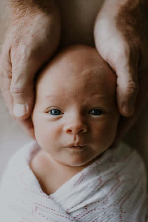 成人雙手抱著一個包裹在柔軟圖案毯子中的新生嬰兒。