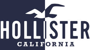 Hollister California標誌，海鷗在分割的藍白背景上飛翔。 — 16:9 壁紙