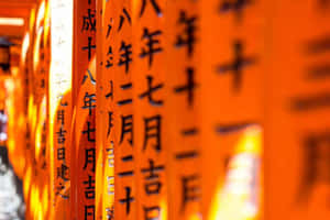 一排帶有黑色日文字的橙色鳥居，背景柔和模糊。 — 唐人街 GIF 壁紙