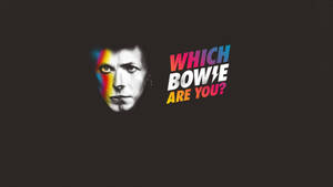 大衛·鮑伊的半邊臉塗上彩虹色，旁邊有文字「Which Bowie Are You?」