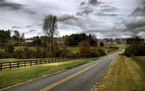 一條鄉村道路蜿蜒穿過一片有樹木和柵欄的草地，天空多雲。 — 道路 壁紙