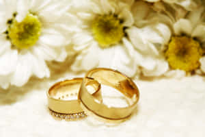 兩枚金結婚戒指放在柔軟的白色表面上，旁邊是白色雛菊。