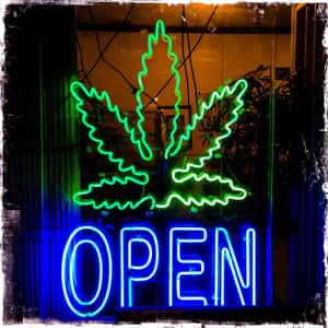 霓虹大麻葉和開放標誌在夜間商店櫥窗中發光。