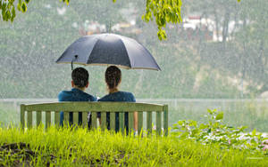 雨天時，兩人在鬱鬱蔥蔥的綠色公園的長椅上共用一把雨傘。