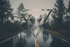 一條下雨的森林道路，帶有大型倒三角形圖形。