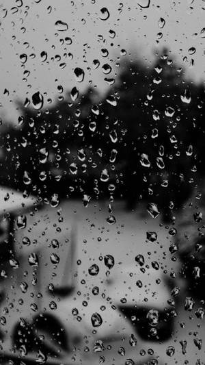 窗上雨滴與模糊樹木和汽車的黑白景色。