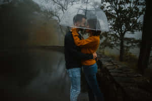 情侶在霧氣背景的雨林中，在透明雨傘下接吻。 — 情侶 GIF 壁紙