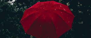 在黑暗森林環境中，一把帶有雨滴的紅色雨傘。