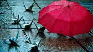 紅色雨傘在雨中保護著濕石板路上的紙鶴。 — 藝術 壁紙