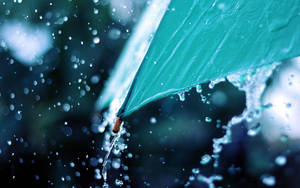 青綠色雨傘在雨天滴落水珠，背景模糊。 — 雨 壁紙