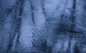 深藍色水面上的雨漣漪，反射樹影。 — 平板電腦 壁紙