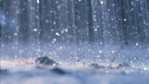 雪花在冬日森林中輕輕飄落，樹木模糊，地面結霜。 — 雨天 壁紙