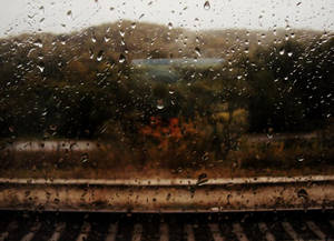 火車窗上的雨滴，顯示模糊的秋樹和軌道。