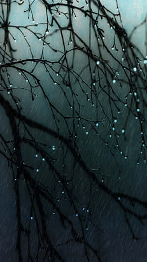 雨日背景 — 雨天 壁紙