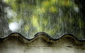 雨水落在彎曲的屋頂上，背景有綠色植物。 — 天際線 壁紙