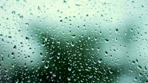 玻璃上的雨滴，帶有模糊的綠色和灰色背景。 — 春季 壁紙