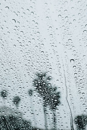 玻璃上的雨滴與灰色調中模糊的樹木剪影 — 藝術 壁紙
