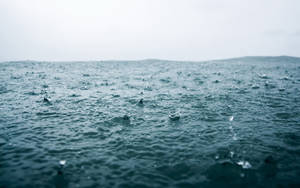 雨滴在灰色天空下平靜的海面上泛起漣漪。 — 雨 壁紙
