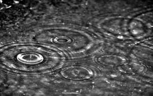 雨滴在潮濕表面形成的漣漪，黑白。 — 雨 壁紙
