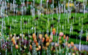 雨滴落在一個充滿活力的花園上，在模糊的花朵上閃閃發光。