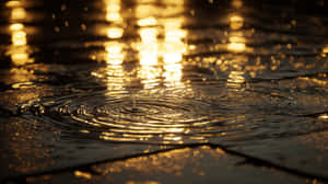金色的陽光反射在濕漉漉的人行道上，一滴雨形成漣漪。 — 天氣 壁紙