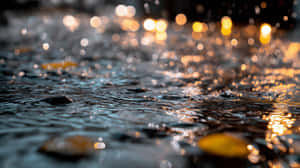水面上的雨滴反射金色陽光，產生散景效果 — 天氣 壁紙