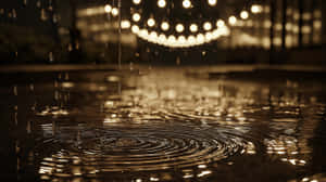雨滴在濕漉漉的人行道上泛起漣漪，夜間反射出金色串燈。 — 天氣 壁紙