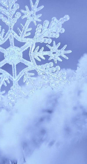 藍天下雪地上詳細雪花的特寫。