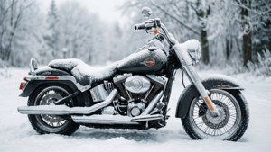 一輛覆蓋著雪的黑色哈雷戴維森電單車停在雪地森林中。
