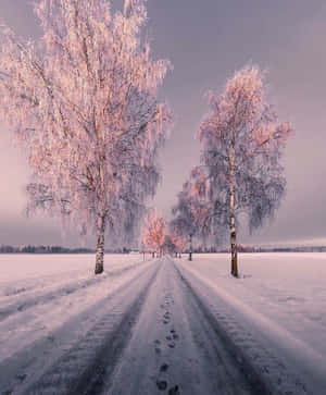雪景美圖 — Motorola Razr Ultra 2026 壁紙