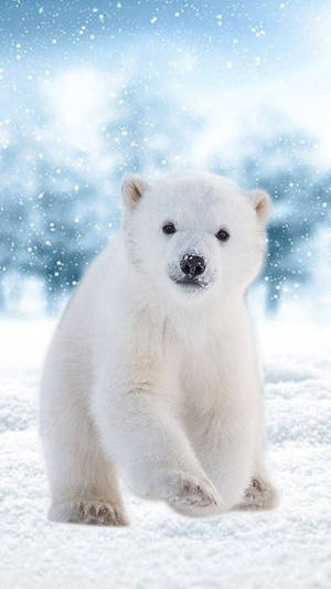 一隻年幼的北極熊幼崽坐在雪景中，雪花飄落。 — 北極熊 GIF 壁紙